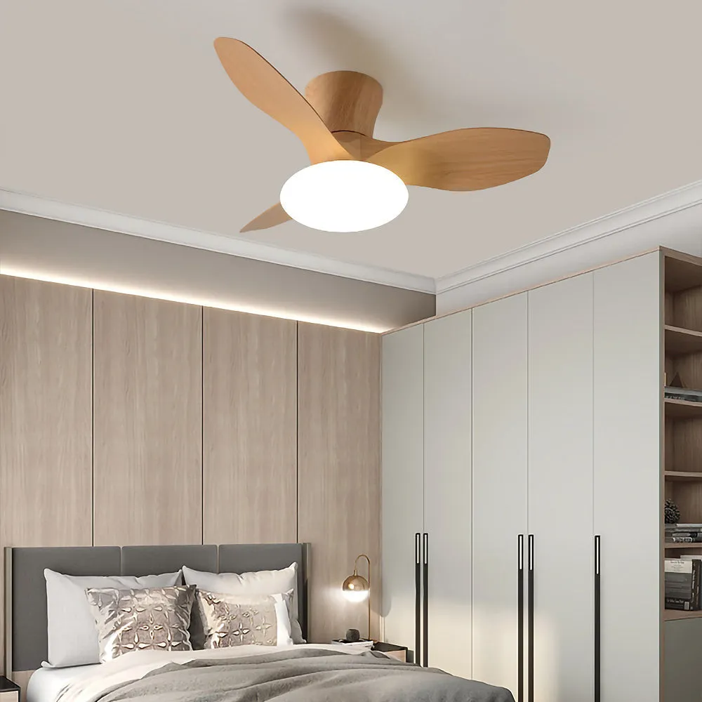 Ceiling Fans