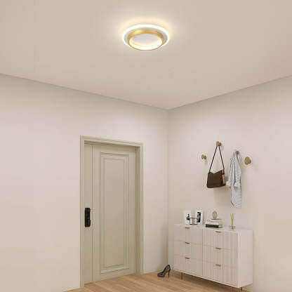 Art Deco Aluminum Acrylic LED Ceiling Light for Living Room