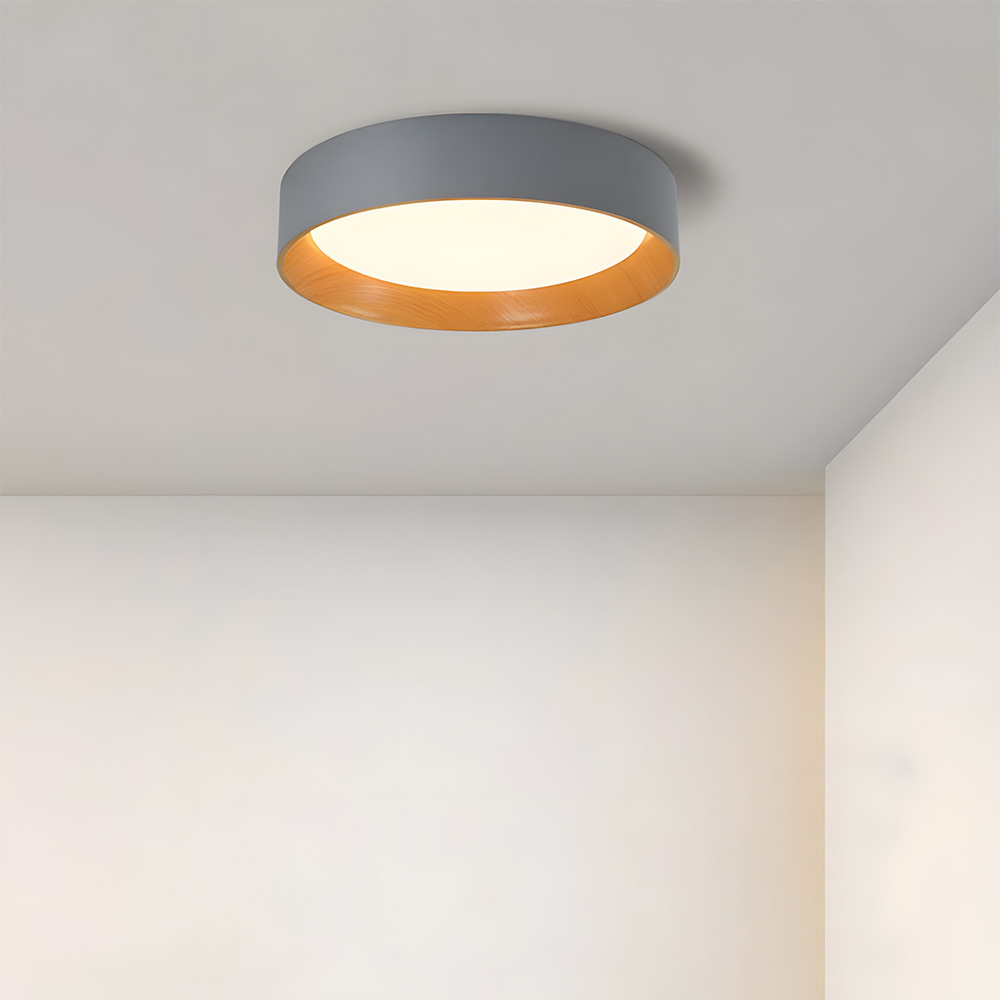 Modern Simple Metal Flush Living Room Ceiling Light Fixtures-7