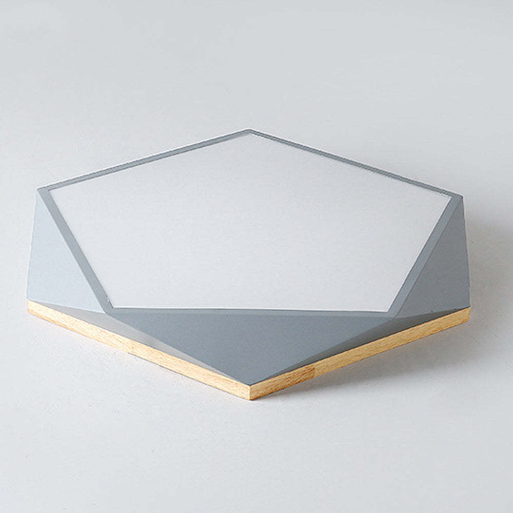 Stylish Modern Iron LED Ceiling Light For Bedroom