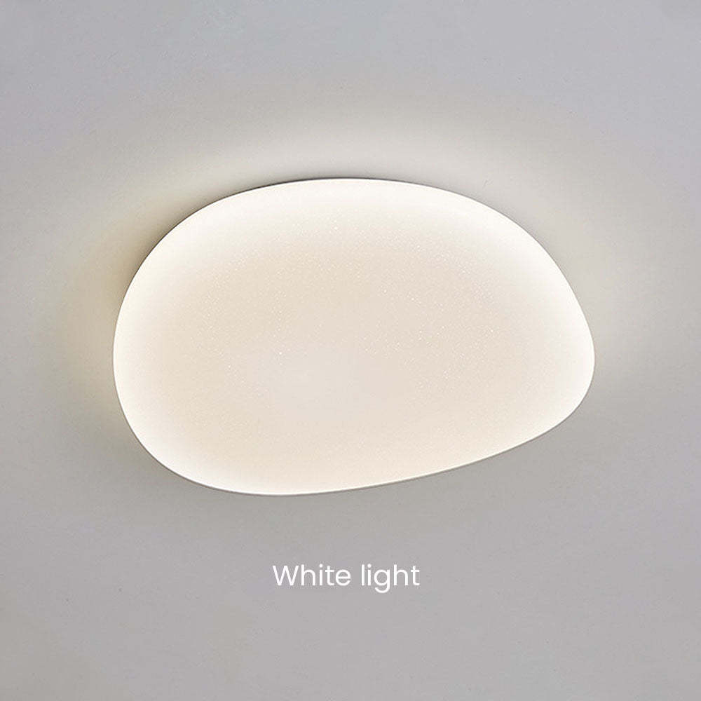 Contemporary LED Flush Mount Ceiling Light For Bedroom -Homdiy