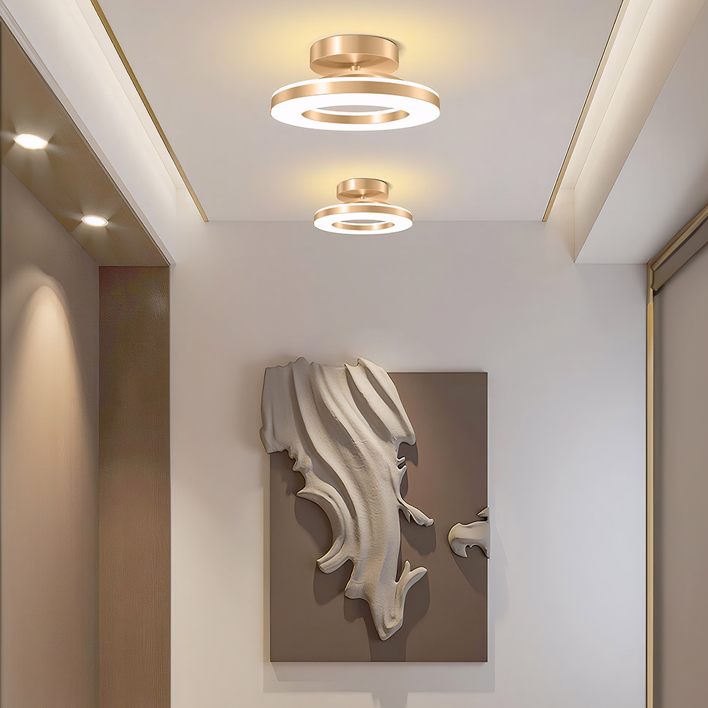 Simple Ring Iron LED Hallway Ceiling Light