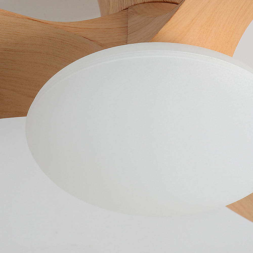 Nordic Simple Stylish Bedroom Flush Ceiling Fan With LED Light -Homdiy