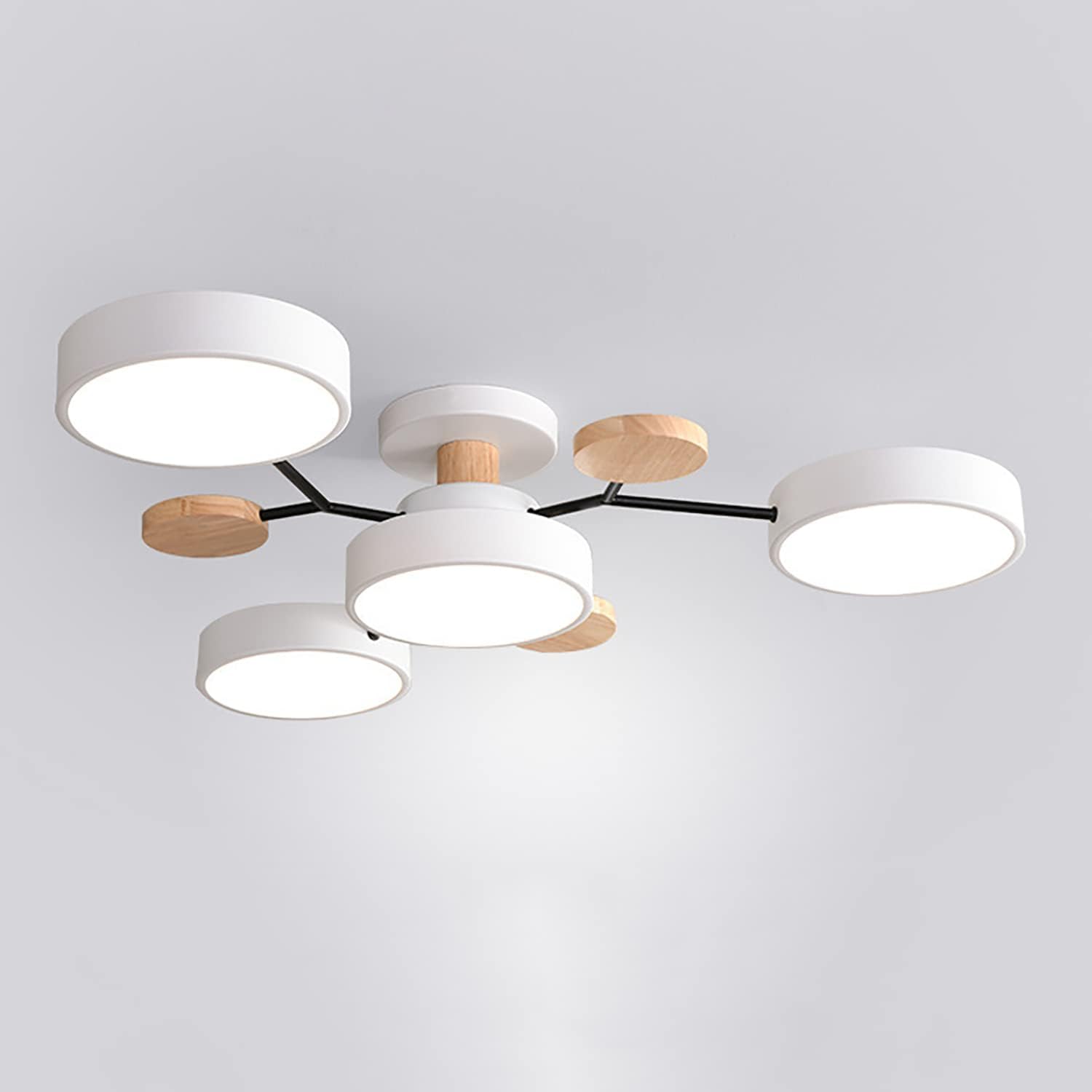 Branched Modern Iron LED Living Room Ceiling Light