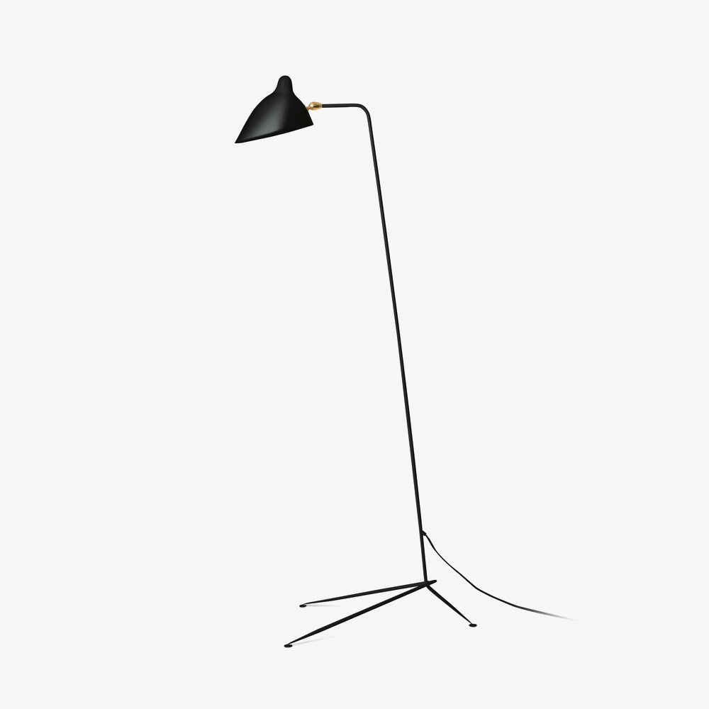 Single Light Duckbill Floor Lamp with Tripod -Homdiy