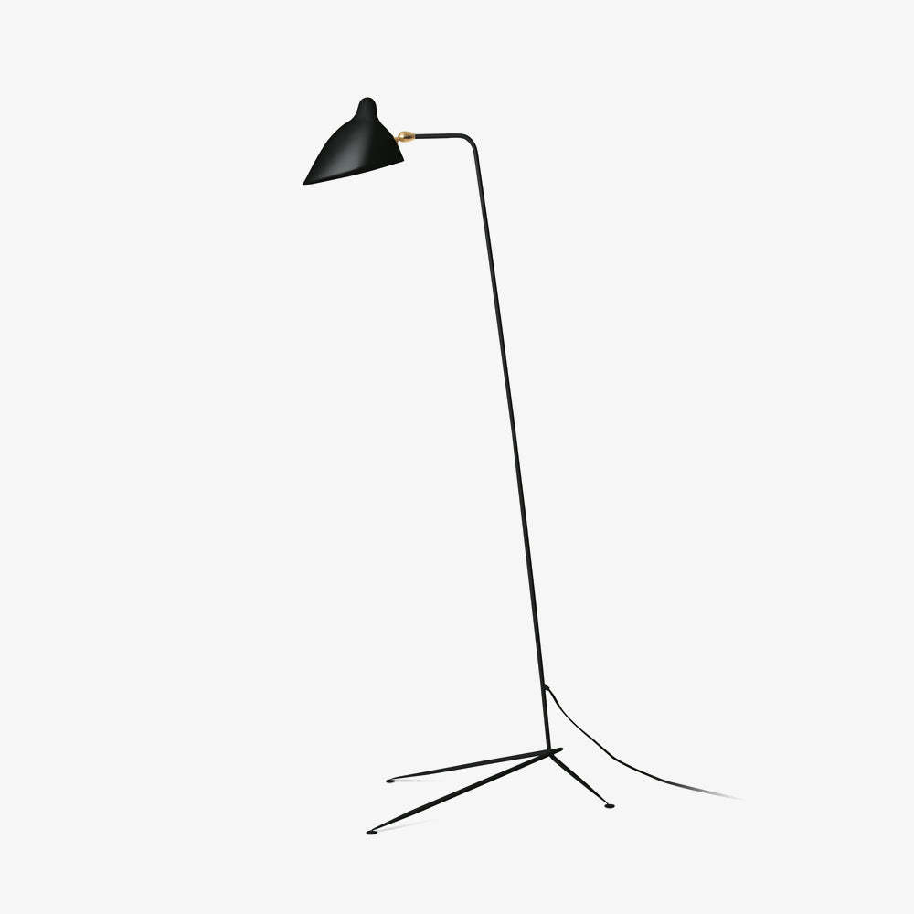 Single Light Duckbill Floor Lamp with Tripod -Homdiy