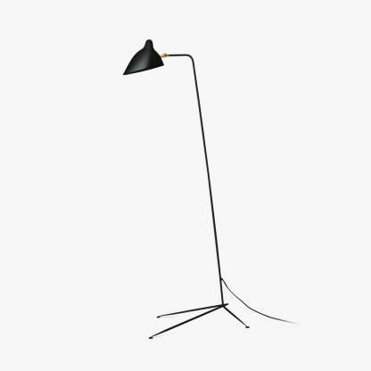 Single Light Duckbill Floor Lamp with Tripod -Homdiy