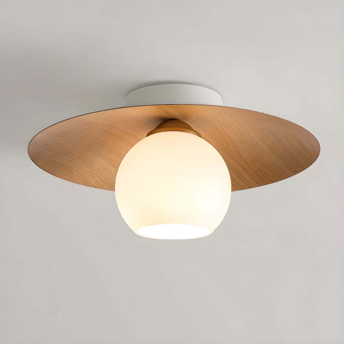Modern Simple Minimalist Chinese Style Ceiling Lights -Homdiy
