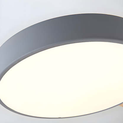 Nordic Multi-Ring LED Ceiling Light for Living Room