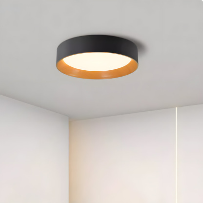 Modern Simple Metal Flush Living Room Ceiling Light Fixtures-11