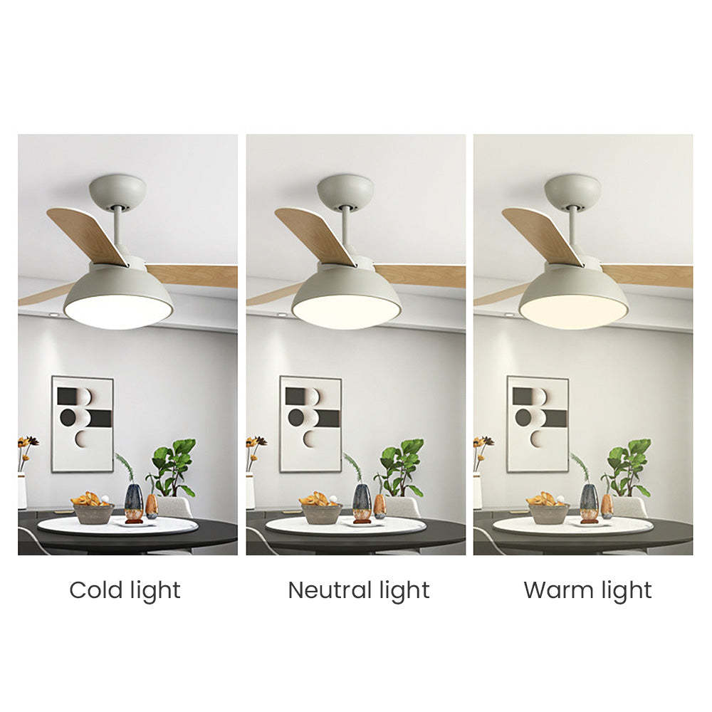 Modern Simple Flush Ceiling Fan With LED Lighting -Homdiy