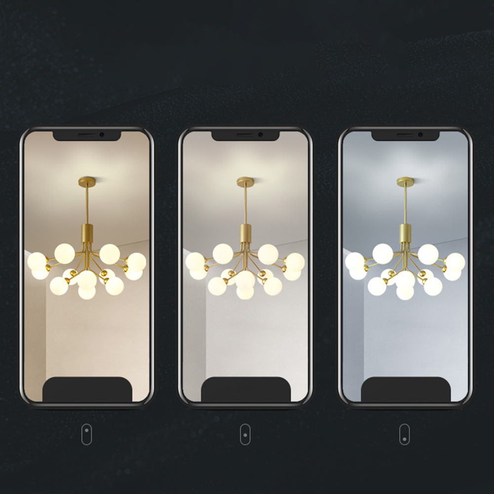 Apiales Chandeliers -Homdiy