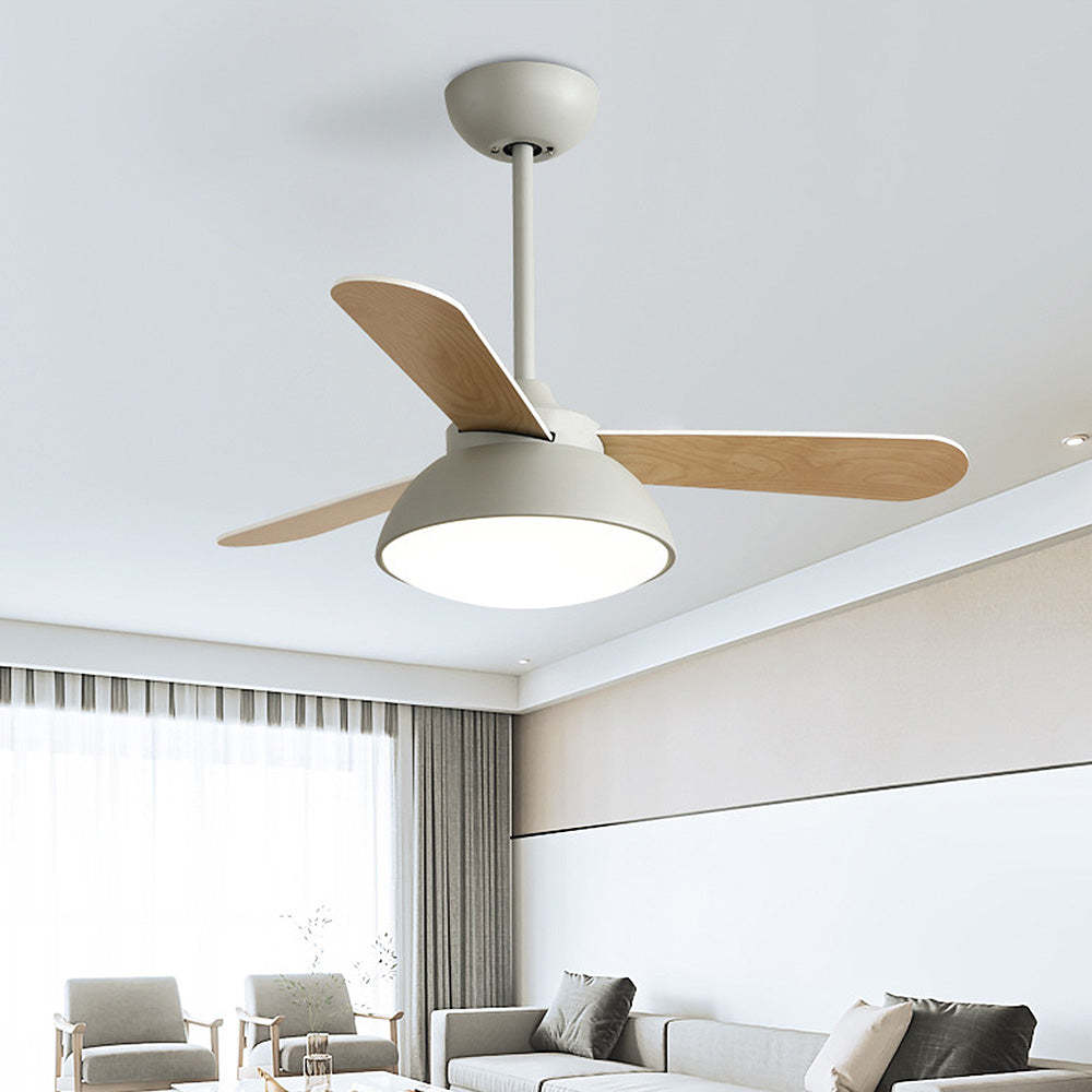 Modern Simple Flush Ceiling Fan With LED Lighting -Homdiy