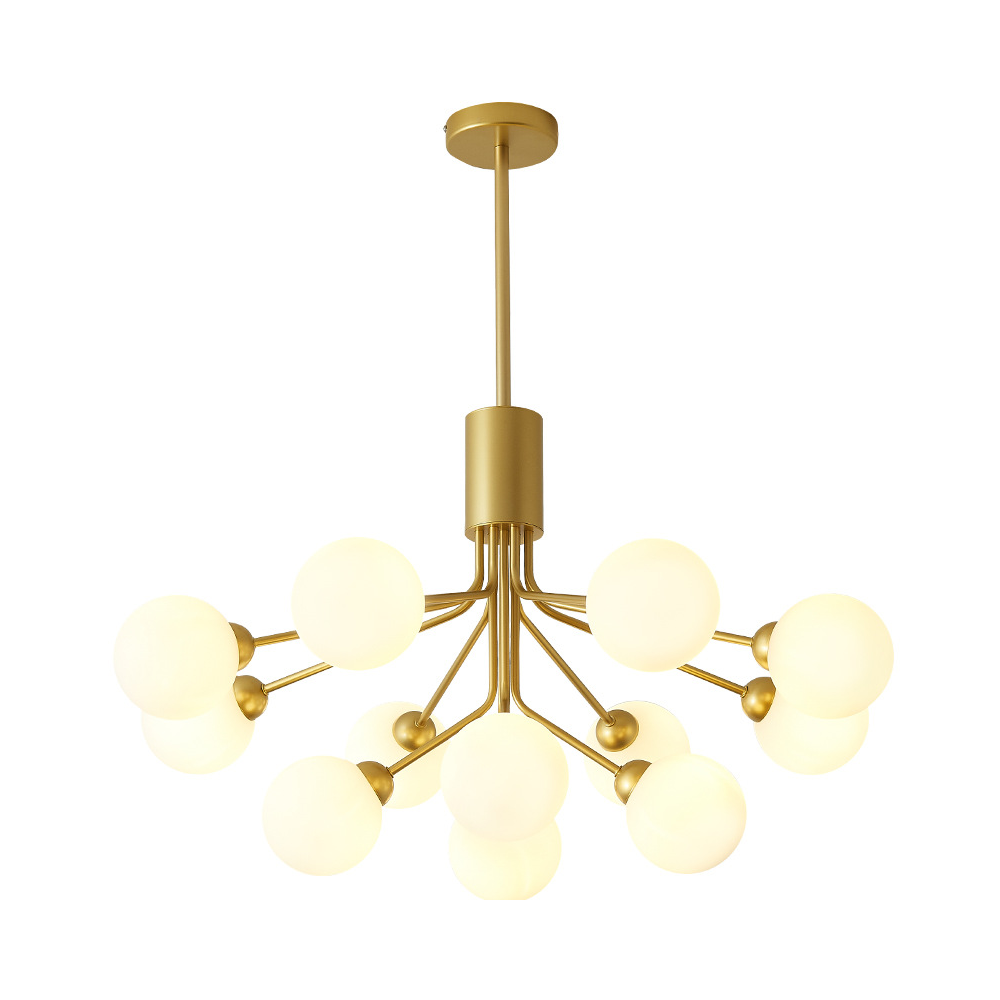 Apiales Chandeliers -Homdiy