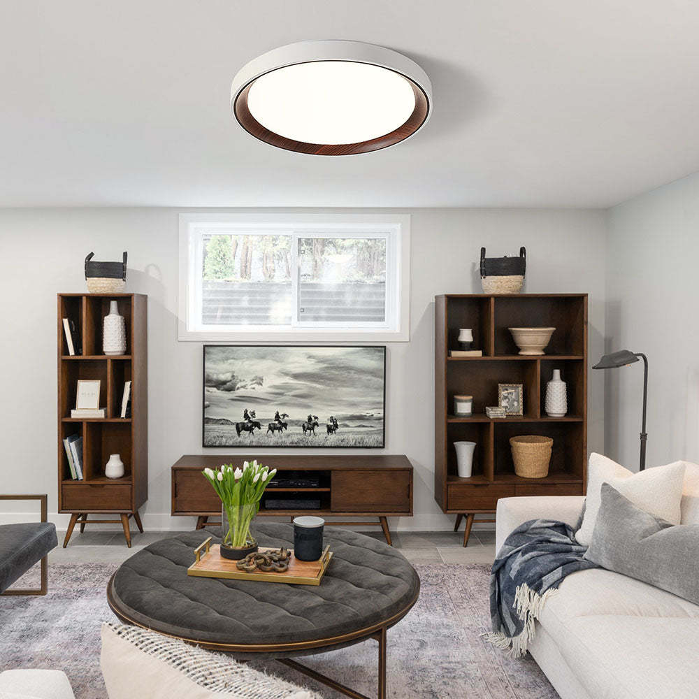 Minimalist Acrylic Round LED Ceiling Light -Homdiy