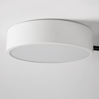 Modern Branch Multi-Head Iron LED Ceiling Light for Bedroom