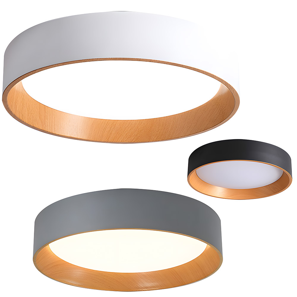 Modern Simple Metal Flush Living Room Ceiling Light Fixtures-16