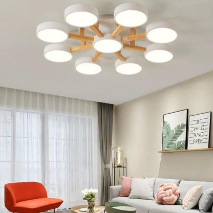 Modern Acrylic LED Bedroom Ceiling Light