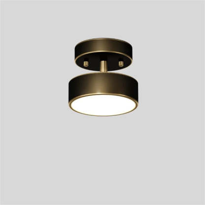 Vintage Copper Led Ceiling Light -Homdiy