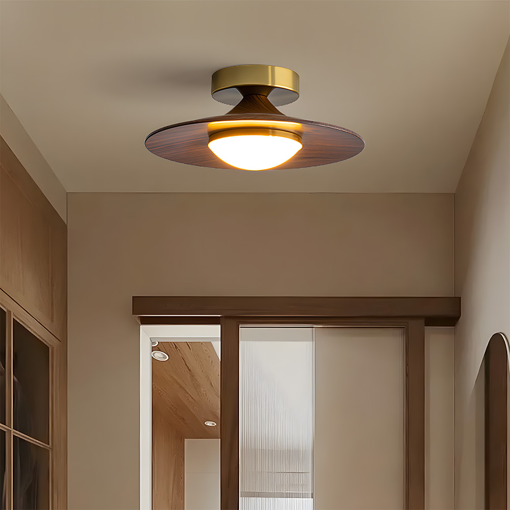 Contemporary Elegant Metal Led Hallway Ceiling Light-1