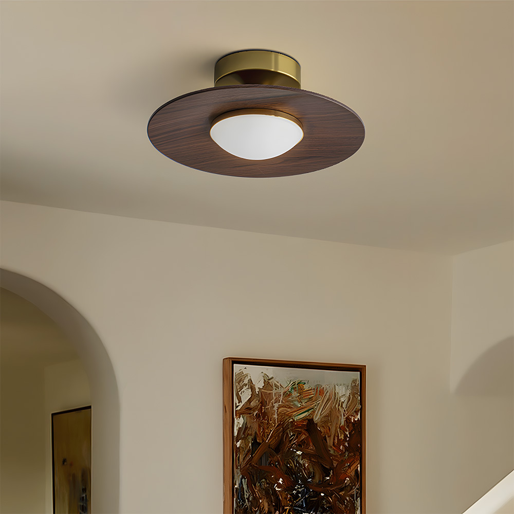 Contemporary Elegant Metal Led Hallway Ceiling Light-3