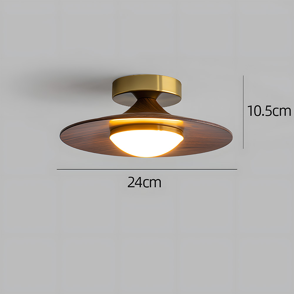 Contemporary Elegant Metal Led Hallway Ceiling Light-7