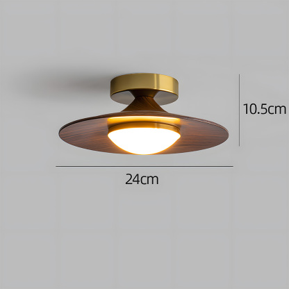 Contemporary Elegant Metal Led Hallway Ceiling Light-7