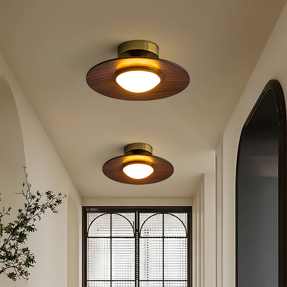 Contemporary Elegant Metal Led Hallway Ceiling Light-5