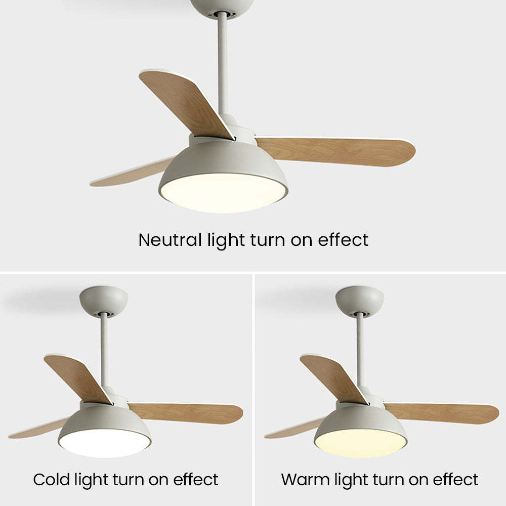 Modern Simple Flush Ceiling Fan With LED Lighting -Homdiy