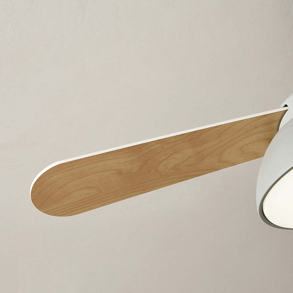 Modern Simple Flush Ceiling Fan With LED Lighting -Homdiy