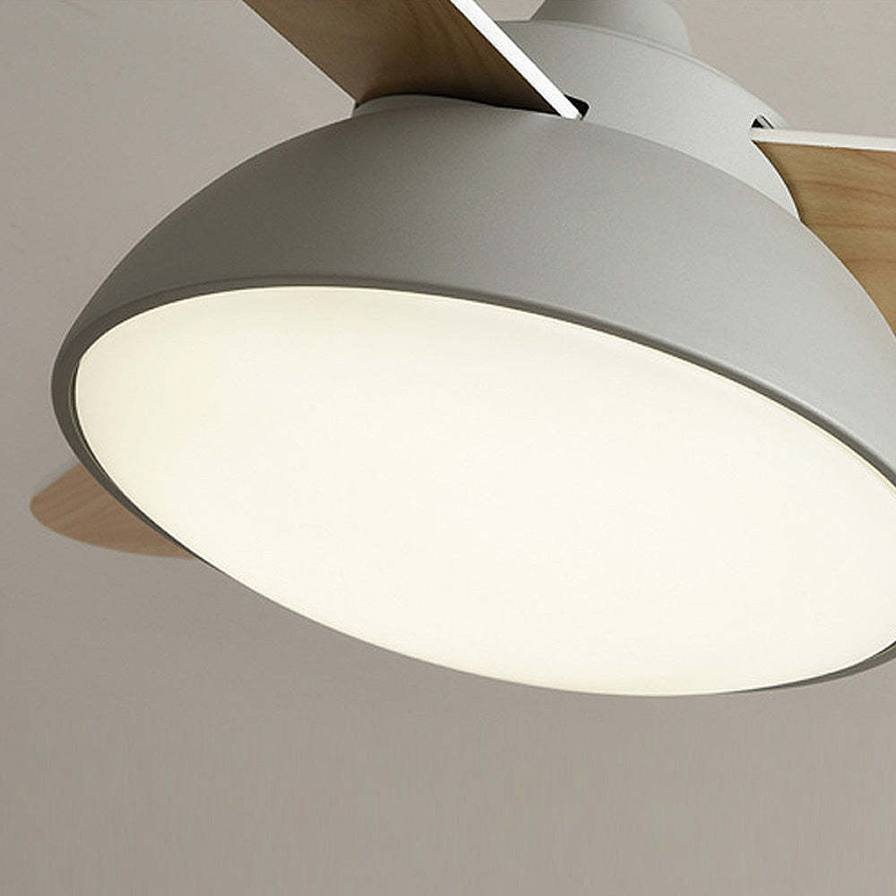 Modern Simple Flush Ceiling Fan With LED Lighting -Homdiy