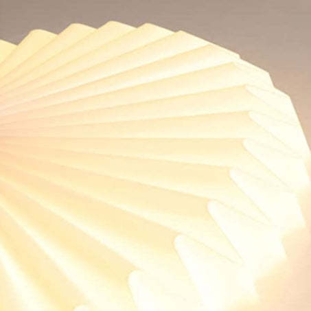 Modern Flush Mount Linn Ceiling Light -Homdiy