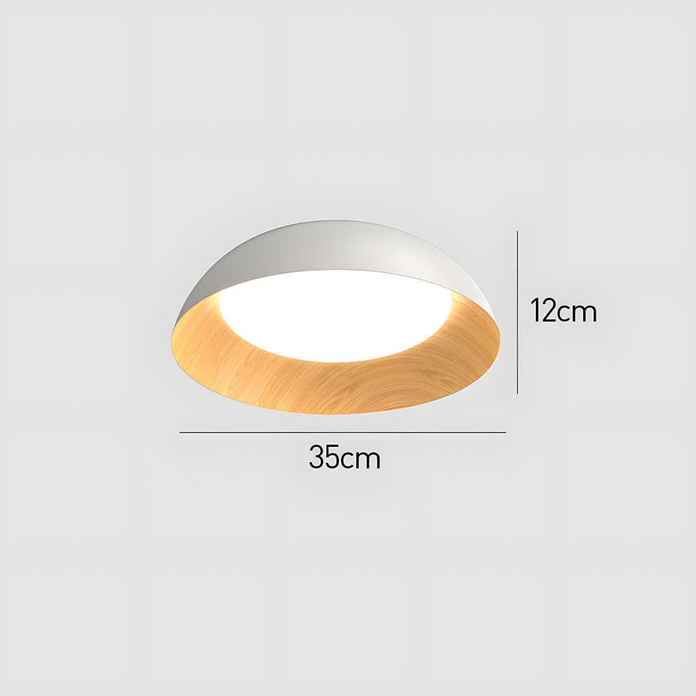 Minimalist Flush Mount Iron LED Ceiling Lamp