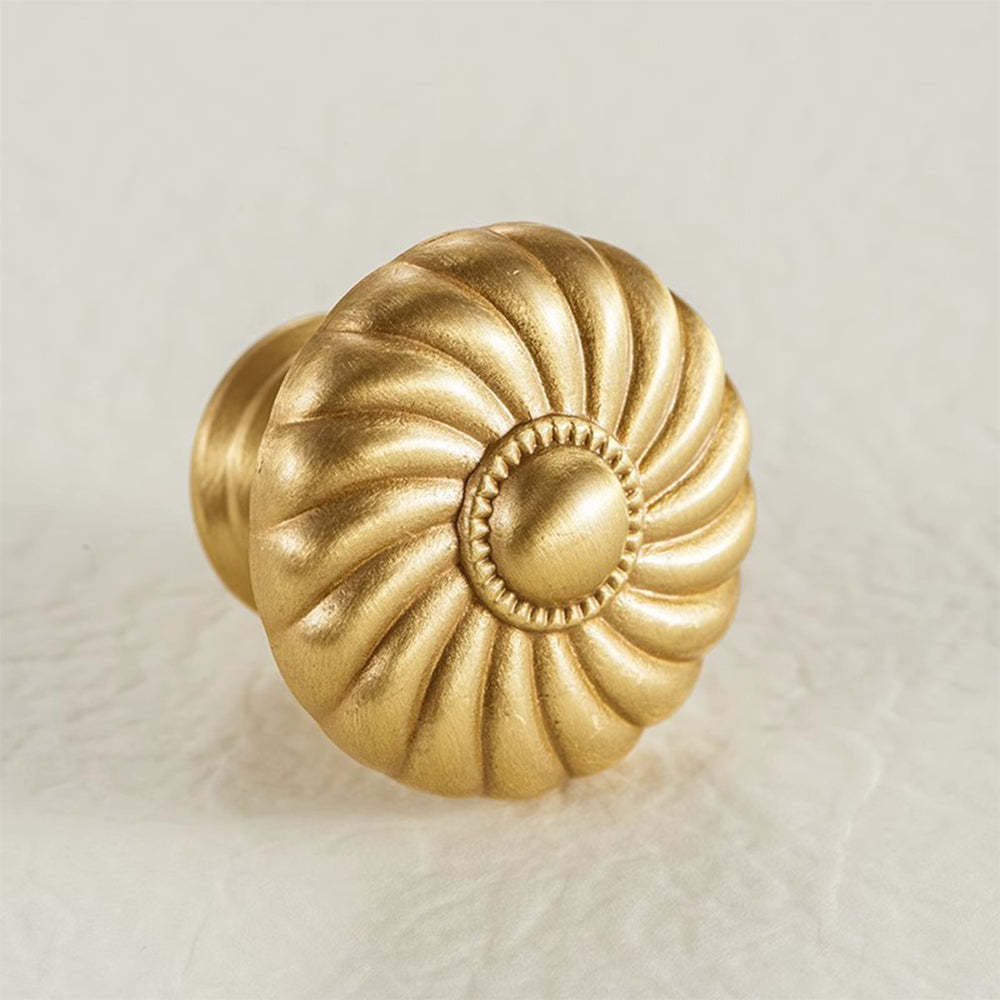 Elegant Brushed Brass Shell Dresser Handles -Homdiy