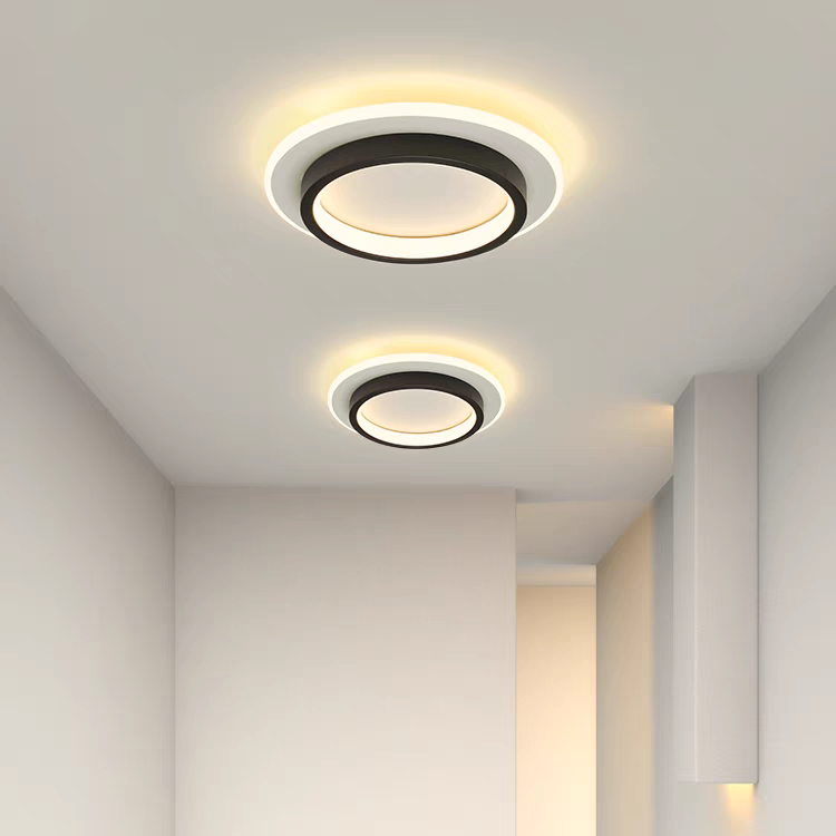 Art Deco Aluminum Acrylic LED Ceiling Light for Living Room
