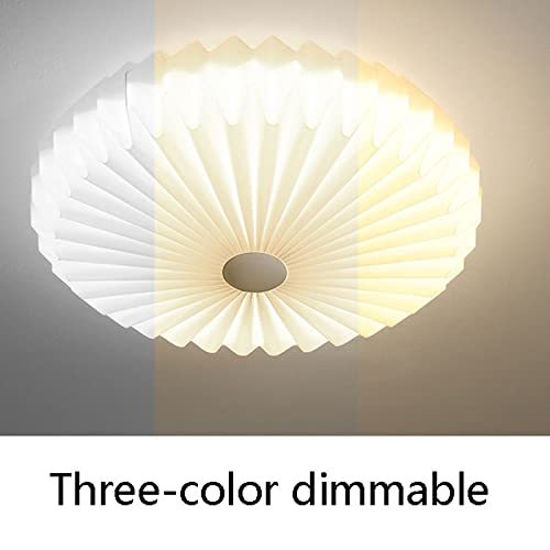 Modern Flush Mount Linn Ceiling Light -Homdiy