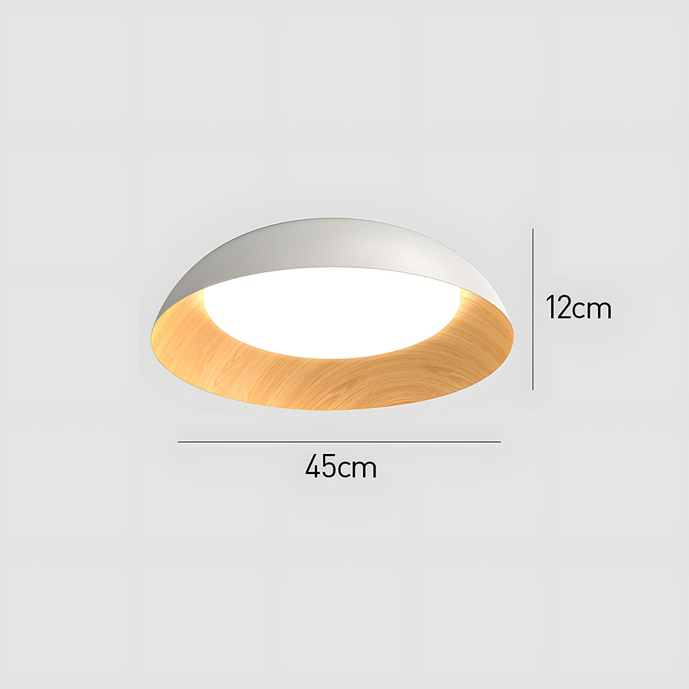 Minimalist Flush Mount Iron LED Ceiling Lamp