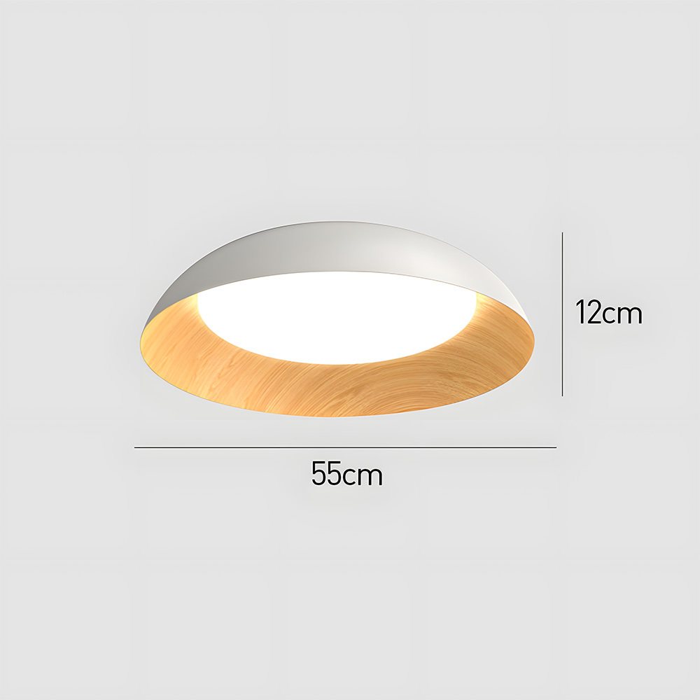 Minimalist Flush Mount Iron LED Ceiling Lamp