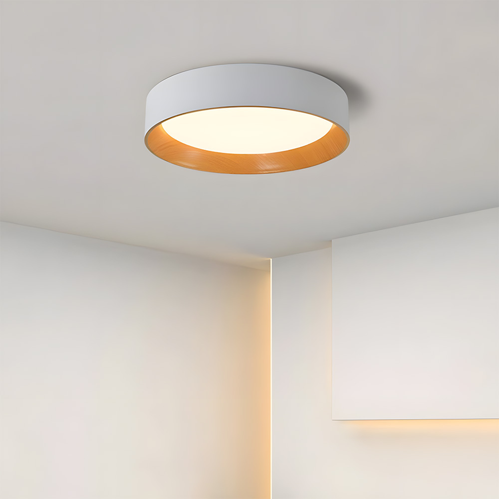 Modern Simple Metal Flush Living Room Ceiling Light Fixtures-3