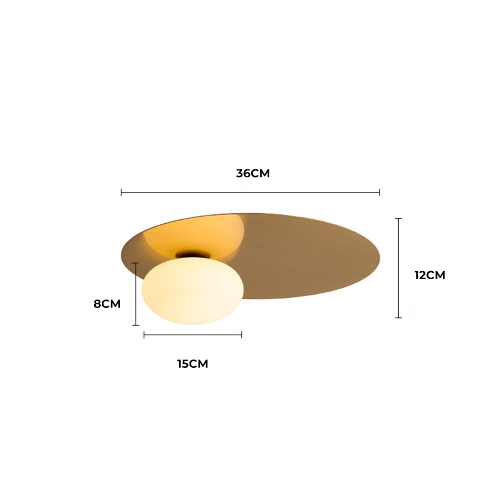 Simple Metal Round Glass Ceiling Light -Homdiy