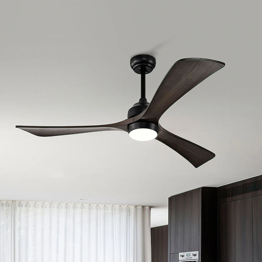 Ceiling Fans