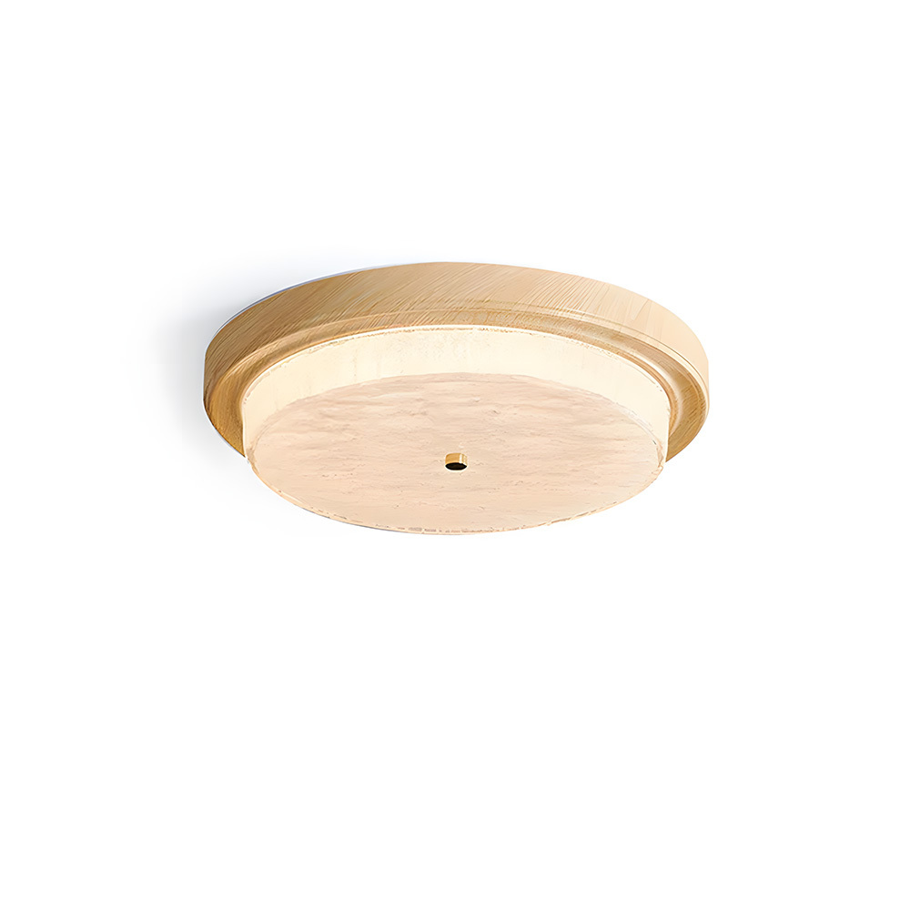 Vintage Round Wood Grain Led Living Room Ceiling Light