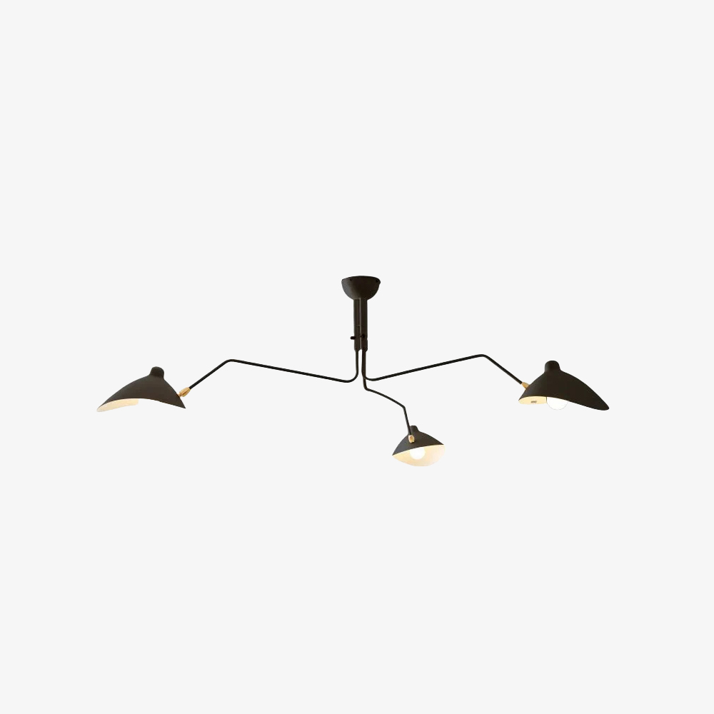 Contemporary Décor Art Iron Flush Mount Ceiling Light Chandelier