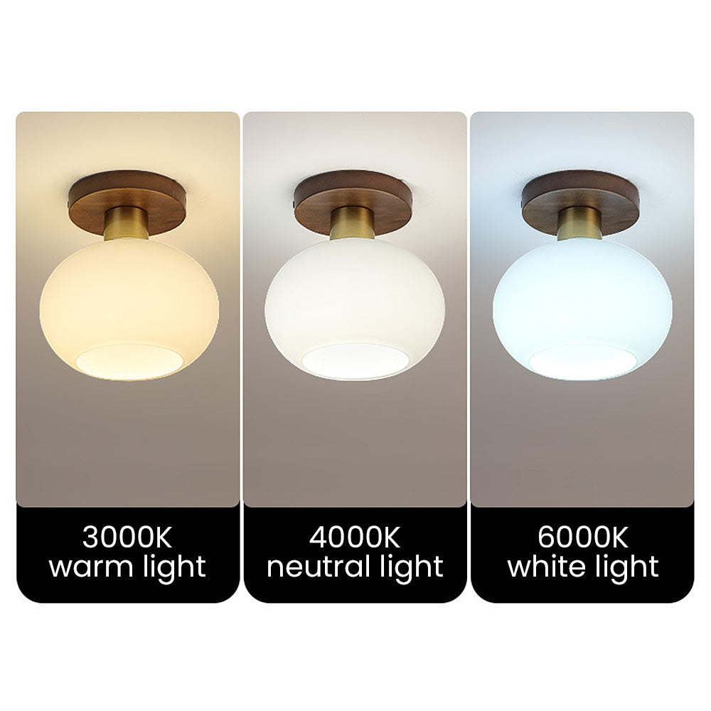 Nordic White Entrance Ceiling Hallway Light -Homdiy