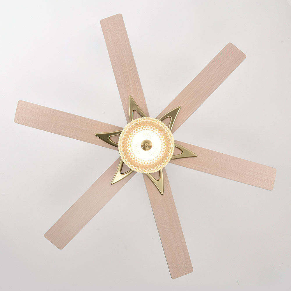 Contemporary Black Ceiling Fan With LED Light And Remote -Homdiy