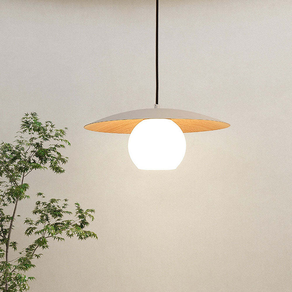 Modern Metal Pendant Light For Dining Room -Homdiy