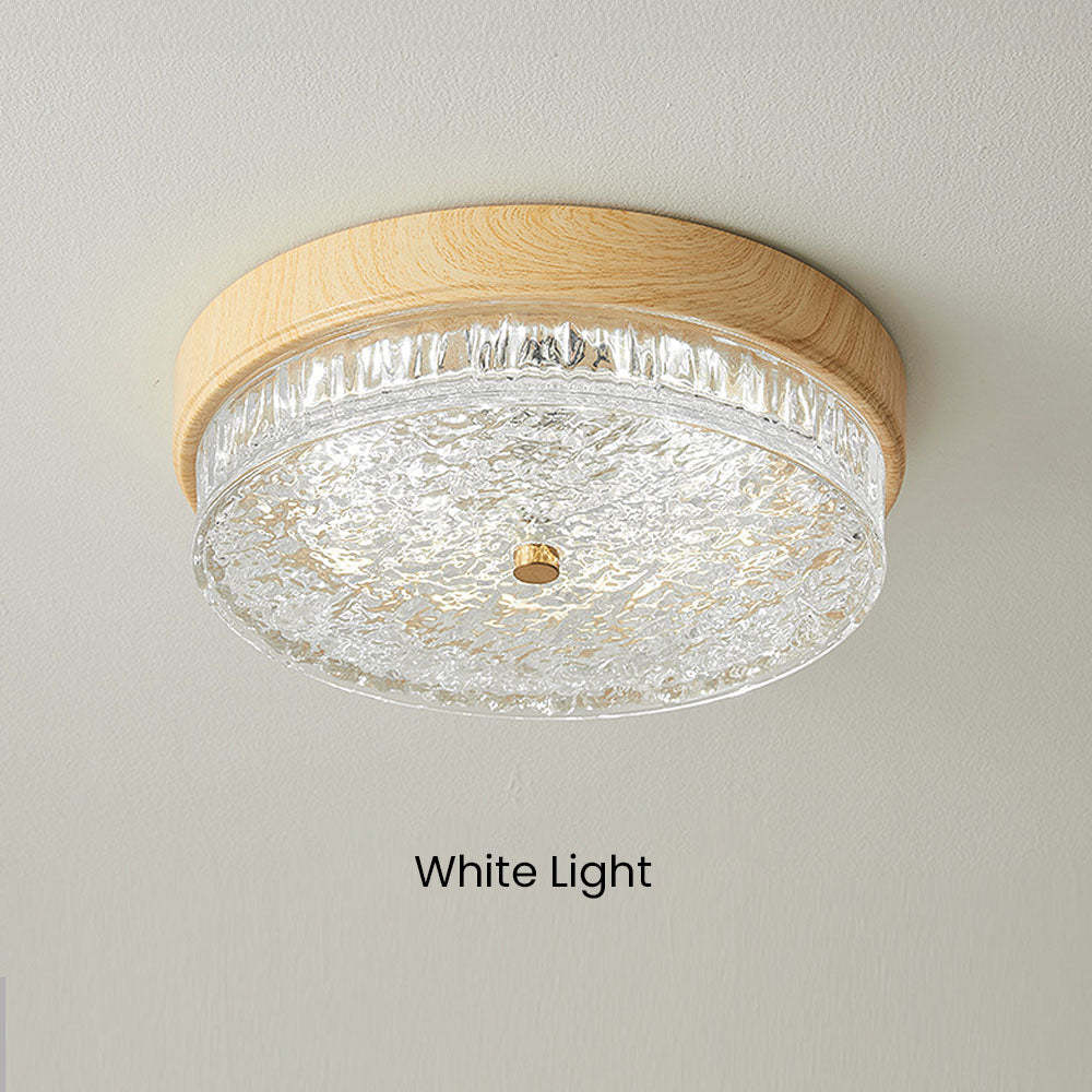 Luxury Glass Shade LED Ceiling Light -Homdiy