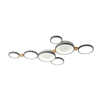 Modern Circle LED Ceiling Light Fixture For Livning Room