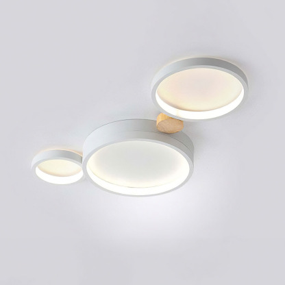 Modern Circle LED Ceiling Light Fixture For Livning Room