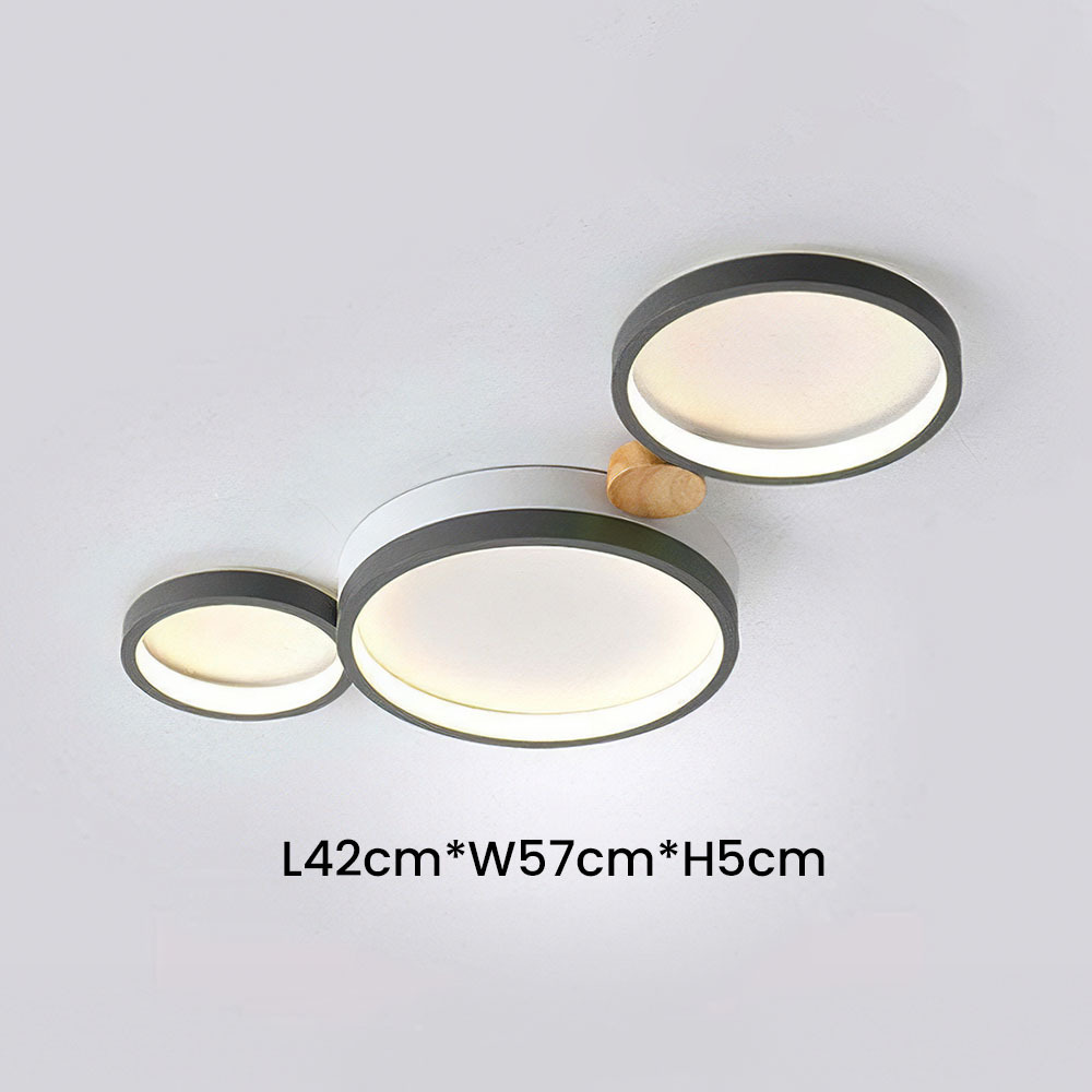Modern Circle LED Ceiling Light Fixture For Livning Room